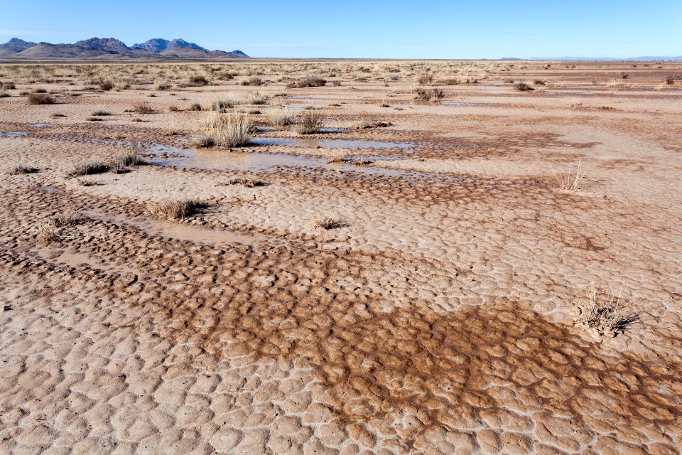Lordsburg Playa