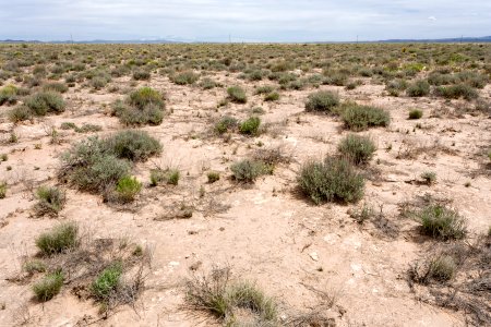 West of Trinity Site