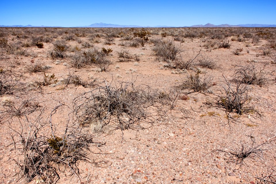 On the mesa between Seco Creek and Las Animas Creek