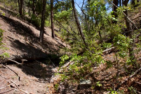 Blackhawk Gulch