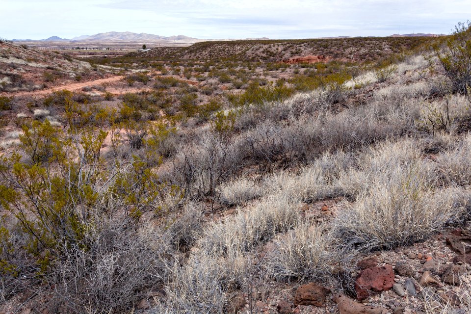 West of Arroyo Angostura