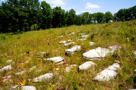 Baseline Barrens