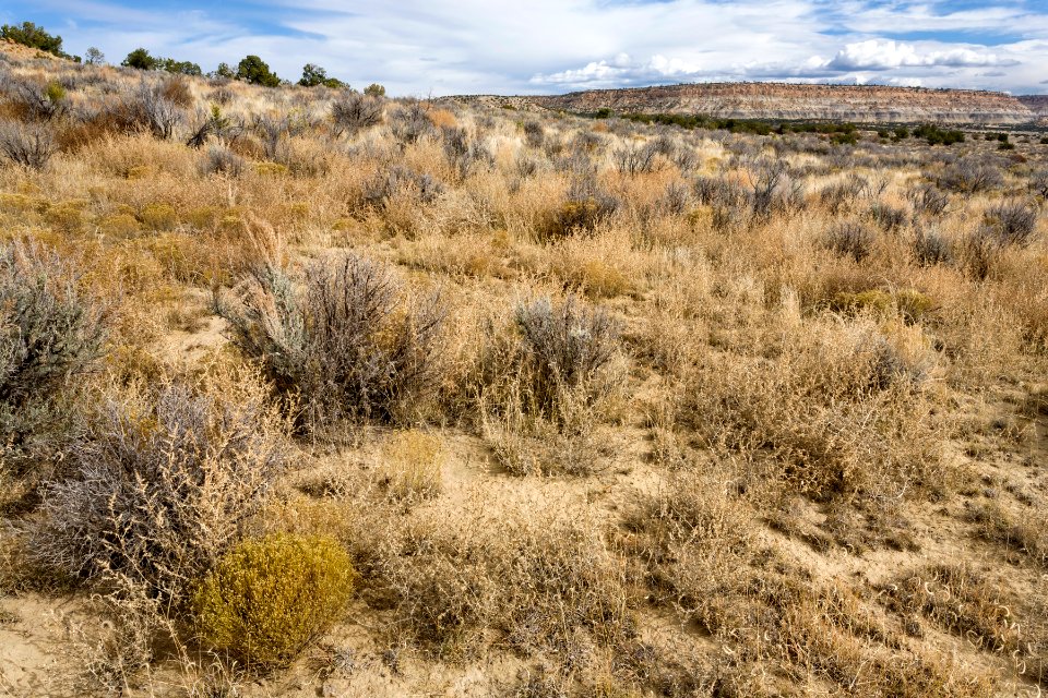 Near Cañon Medio