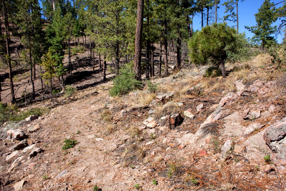 Continental Divide Trail, Black Range