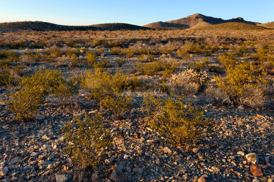 West-southwest of Attorney Mountain