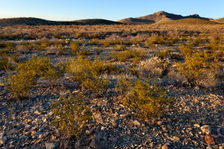 West-southwest of Attorney Mountain