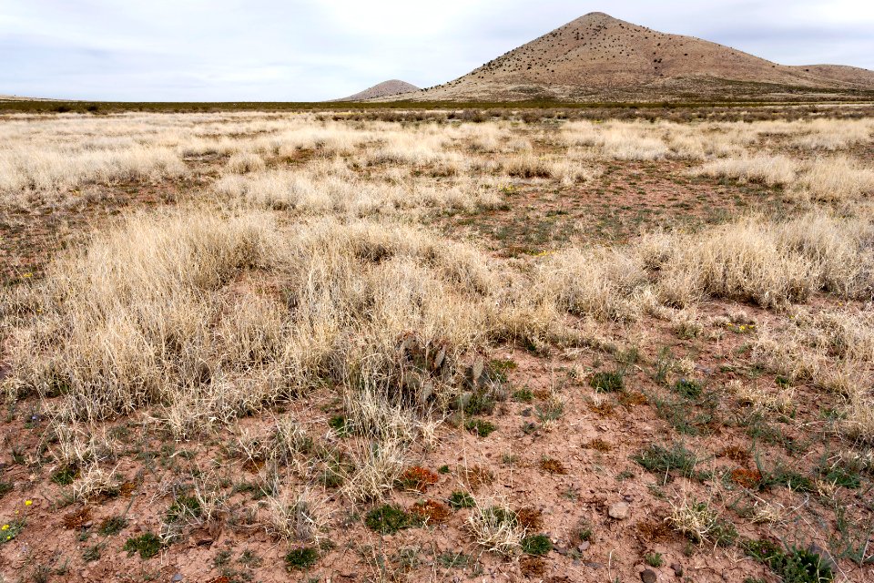 Near Soldiers Farewell Hill