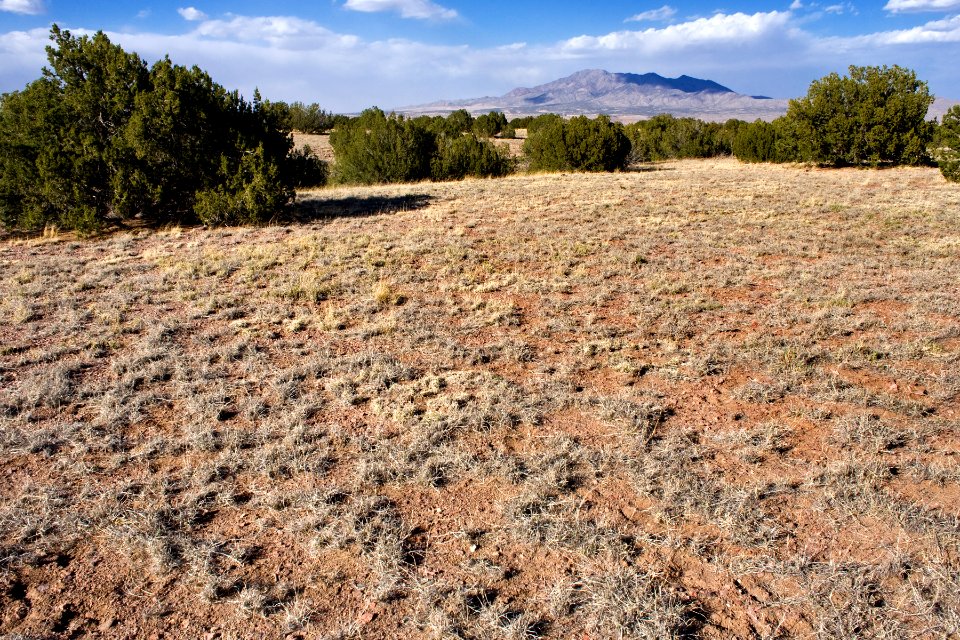 South of Cañon de las Cabras