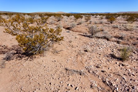 Near Taylor Mountain