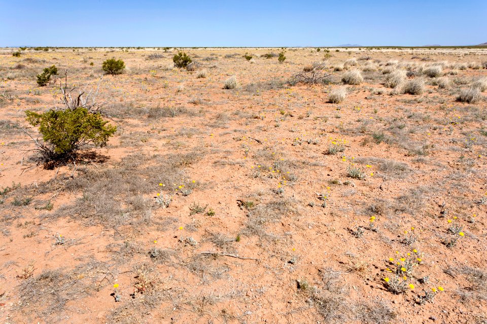 South of Goat Ridge
