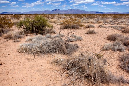 Between Trujillo Canyon and Wicks Gulch