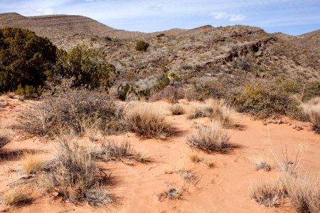 Lead Camp Arroyo