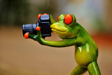 Fun camera green