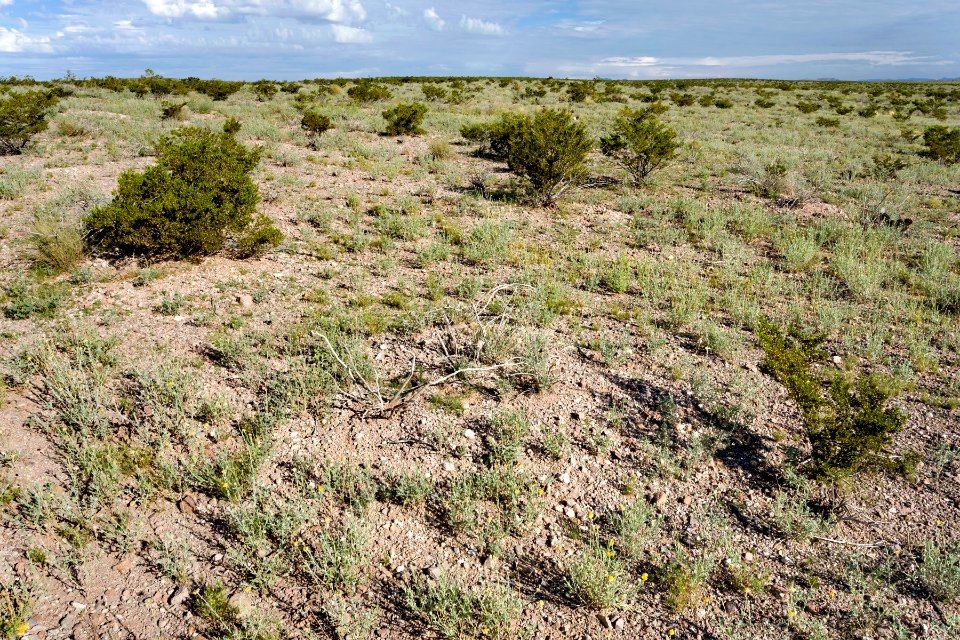Near Goat Ridge