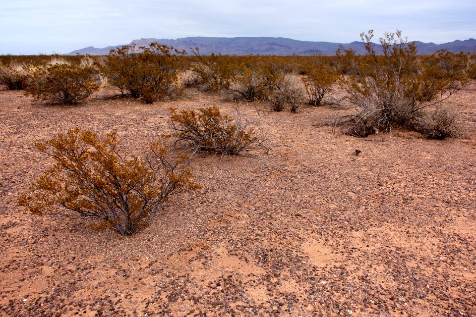 Northwest side of Elephant Butte Reservoir