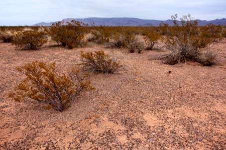 Northwest side of Elephant Butte Reservoir