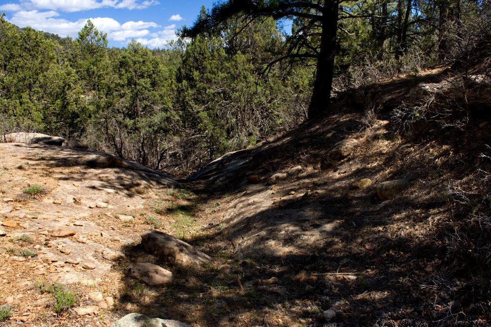 West side of Cherry Creek