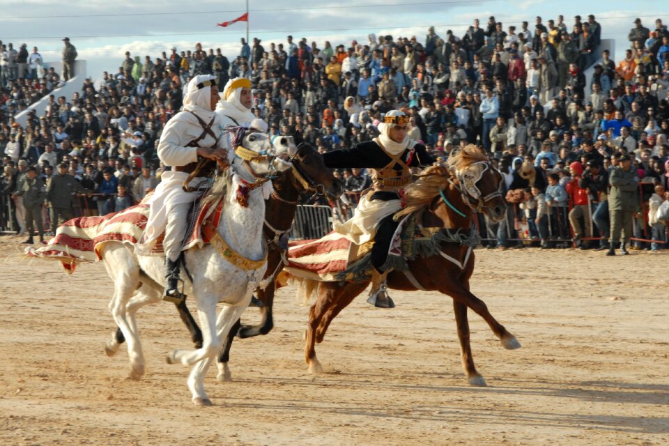 Horse racing douz competition