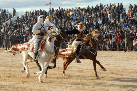 Horse racing douz competition photo