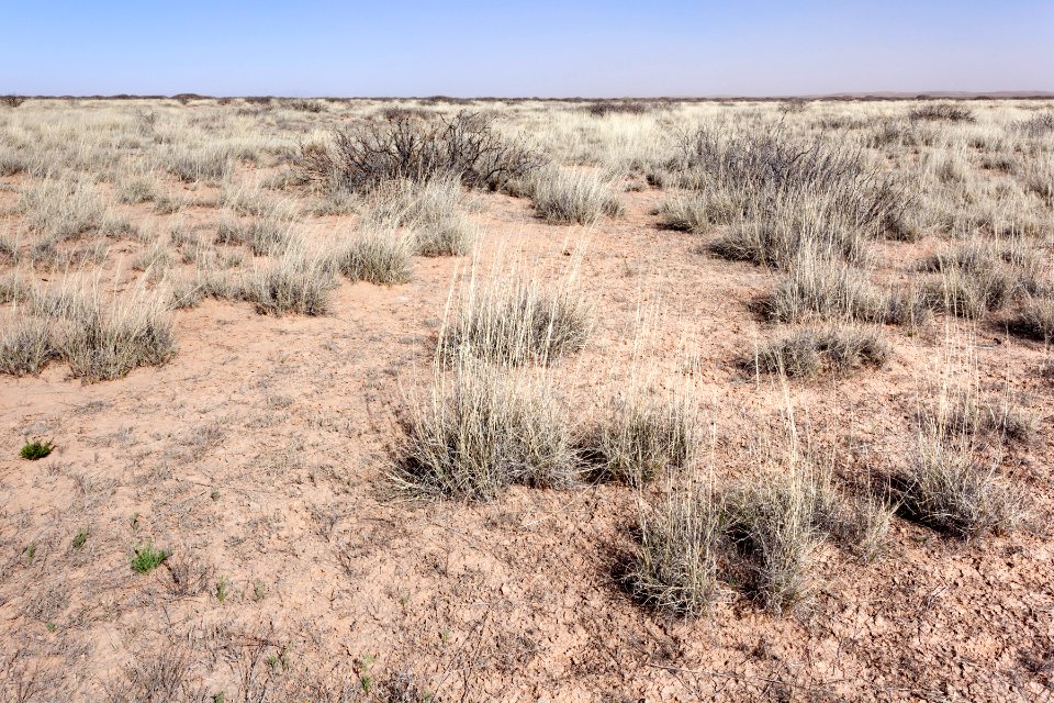 Northeast of Daley Lake