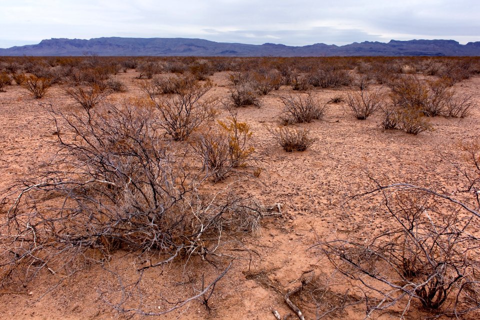 Northwest side of Elephant Butte Reservoir