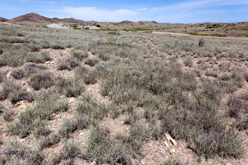 East-northeast of Soldiers Farewell Hill