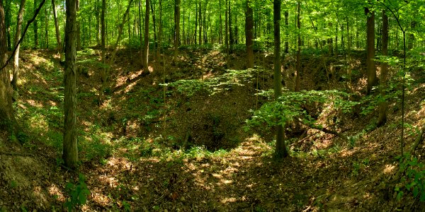 McCormick's Creek State Park