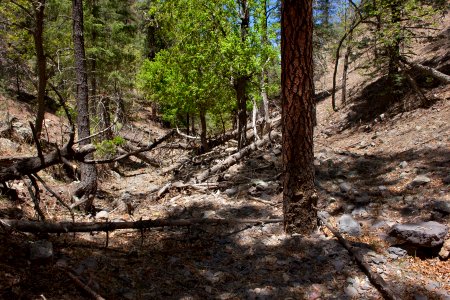 Blackhawk Gulch