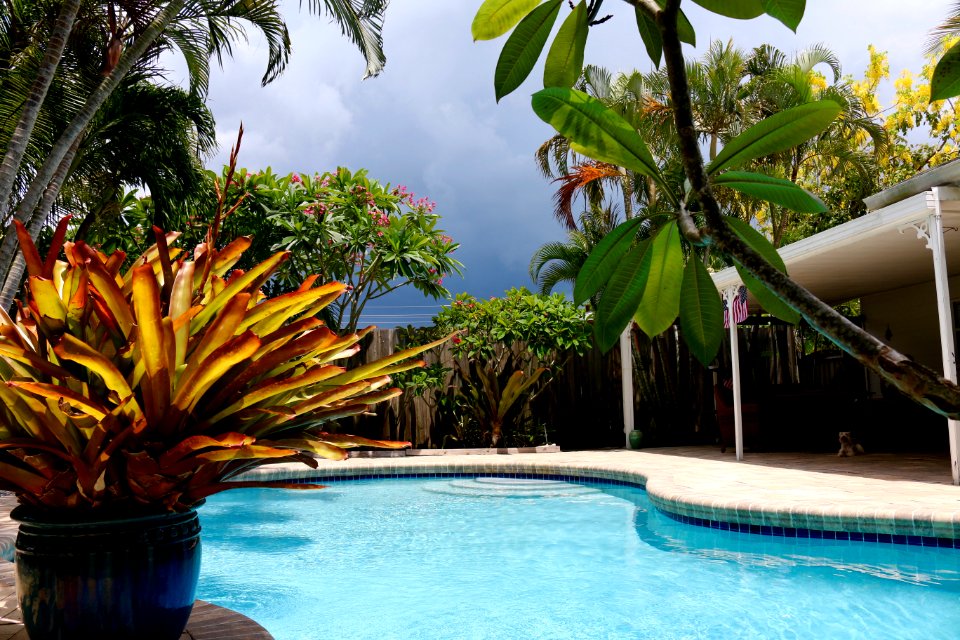 Poolside photo