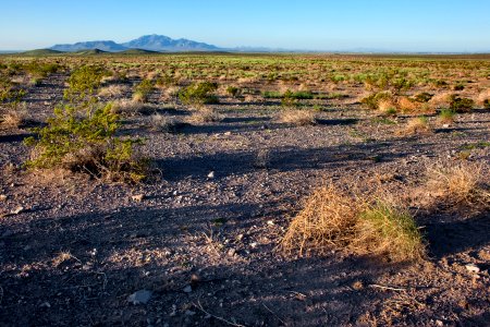 South bajada of Cookes Range