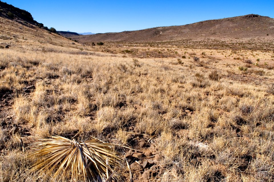 West-northwest of Saddle Mountain