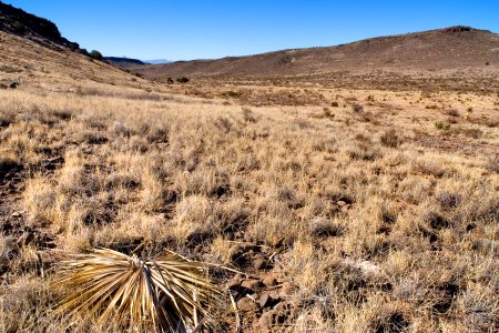 West-northwest of Saddle Mountain