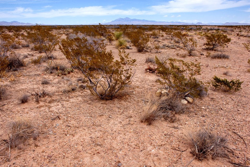 Mesa south of Cuchillo Negro Creek
