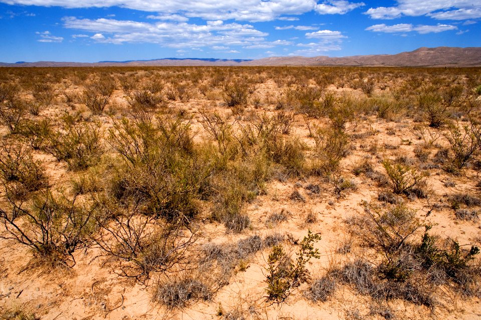Northern Otero Mesa