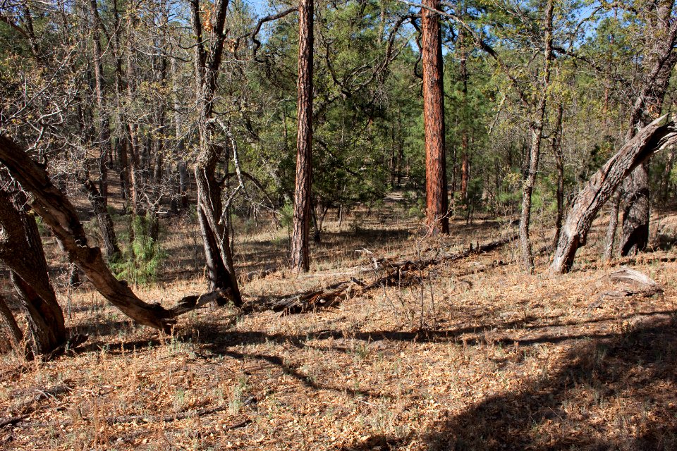 Continental Divide Trail