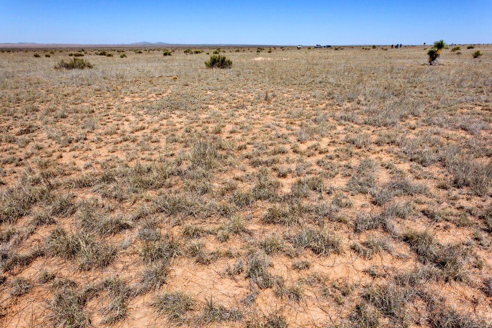 West of Alamo Mountain