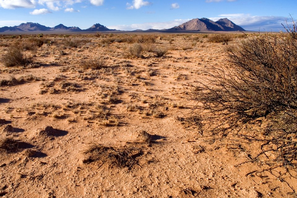 Southern Jornada del Muerto Plain