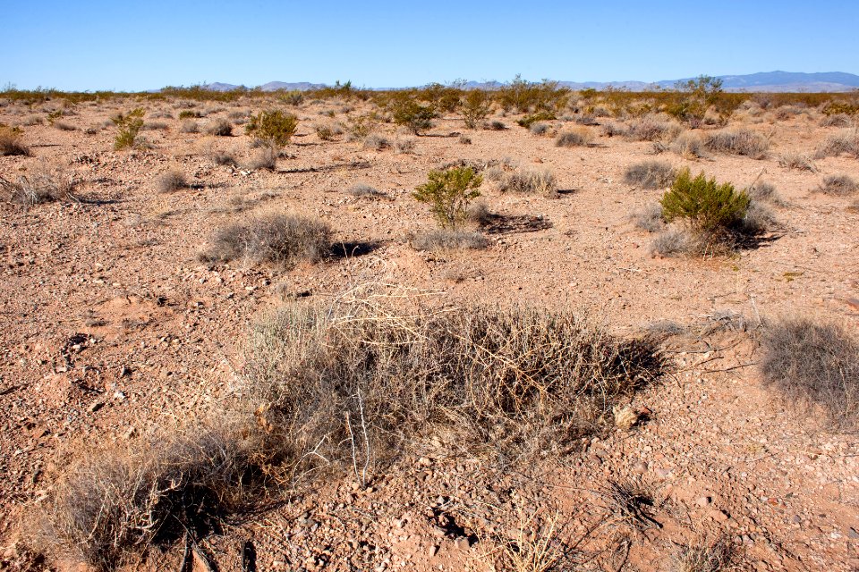 West of Caballo Lake