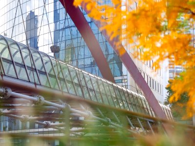 Japan Bridge in autumn
