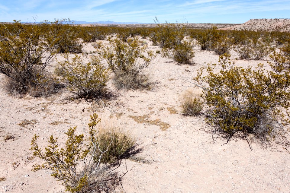 South side of Arroyo Cuervo