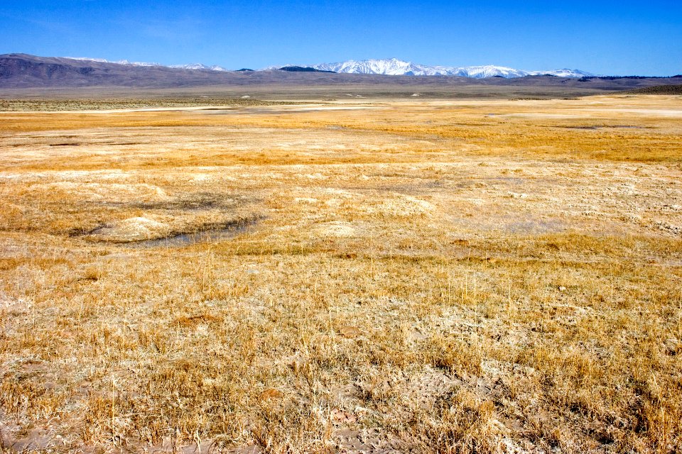 Near Little Alkali Lake