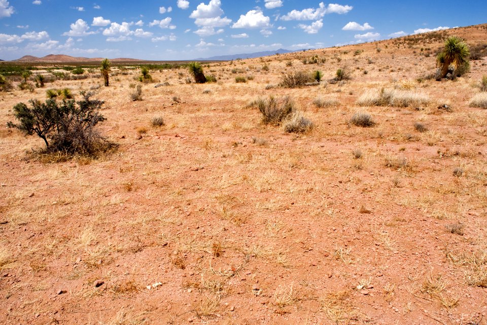 Southeast of the Big Hatchet Mountains