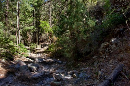 Chloride Creek photo