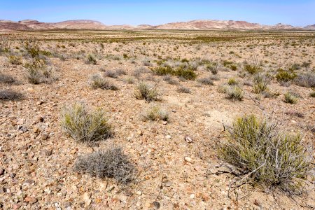Near Fluorite Ridge