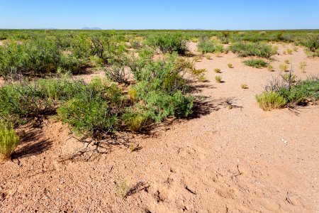 East-northeast of the Aden Hills