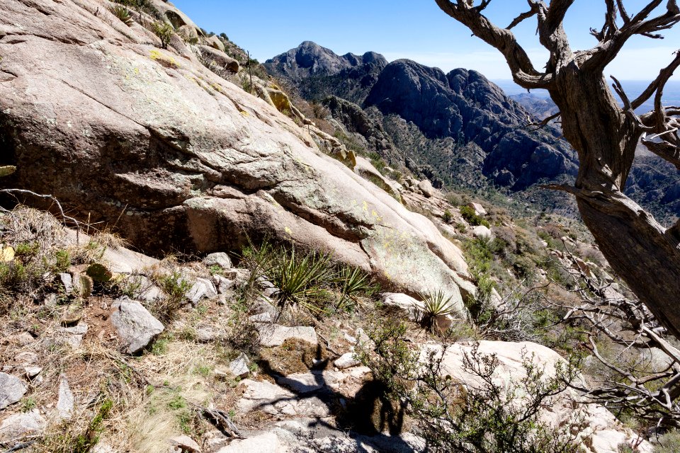 Northwest of Organ Needle