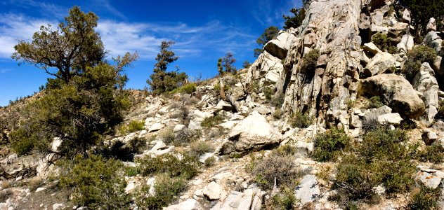 Cactus Flat