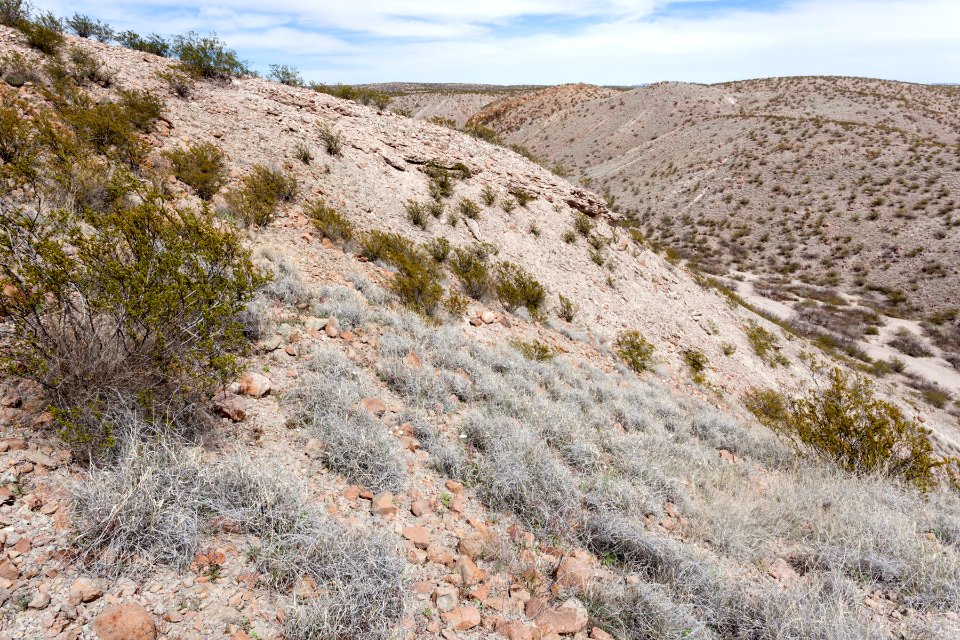 West-northwest of Radium Springs