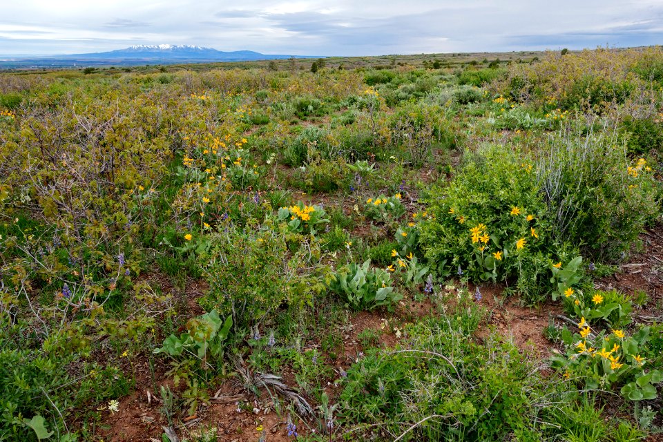 Near Secret Canyon