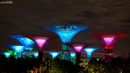 Supertree grove in gardens by the bay photo